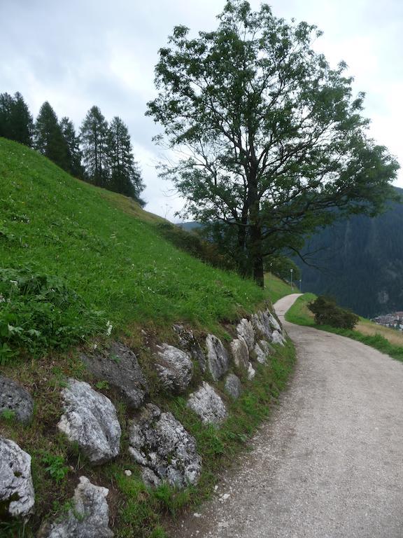 Apartments Residence Alta Badia Кольфоско Экстерьер фото
