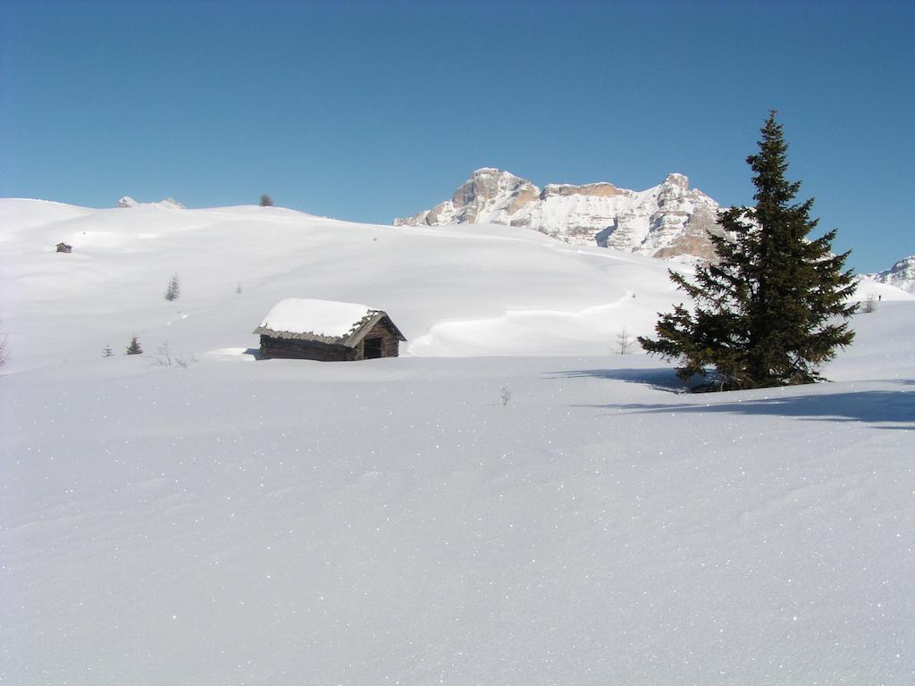 Apartments Residence Alta Badia Кольфоско Экстерьер фото